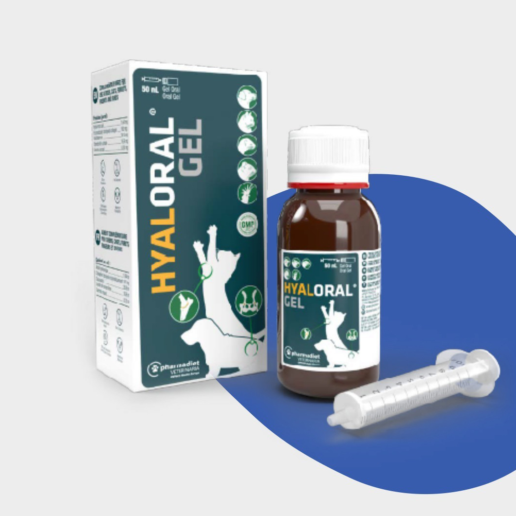 HYALORAL® GEL | Pentru câini tineri, pisici, dihori, rozătoare și păsări.