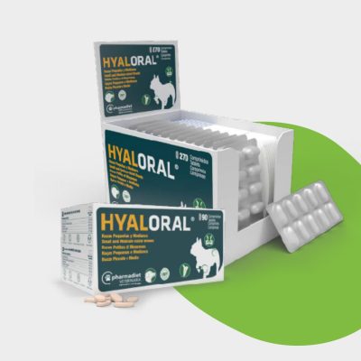 HYALORAL® | Pentru rase de statură mică și medie (90 tablete)