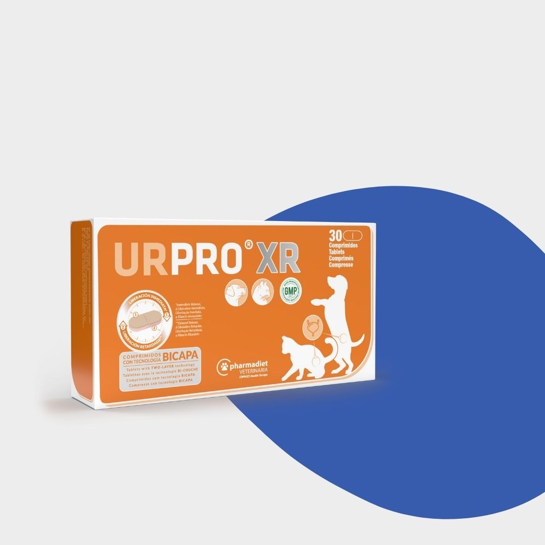 URPRO® XR